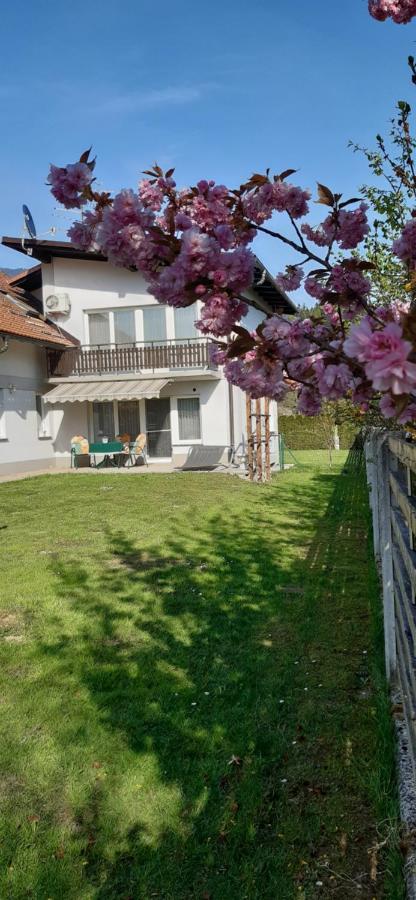 Apartmaji Mojca Križe Eksteriør bilde